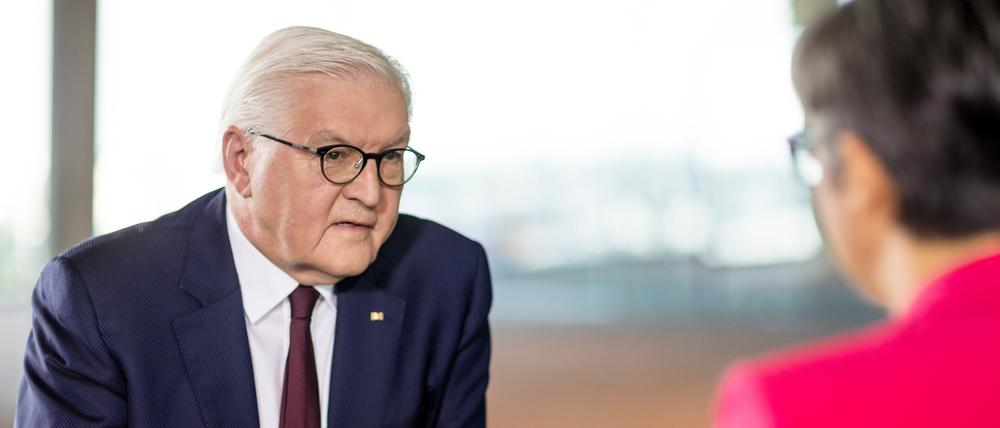 Bundespräsident Frank-Walter Steinmeier (SPD) im ZDF-Sommerinterview