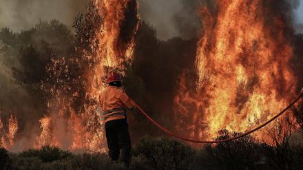 Waldbrände, die am Mittwoch im griechischen Kechries bei Korinth tobten, dehnen sich weiter aus in Richtung der Siedlungen Galataki und Athikia.