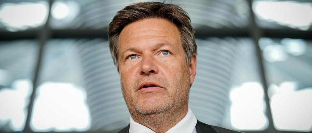 Der Bundeswirtschaftsminister Robert Habeck (Grüne).
