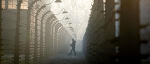Auschwitz 
