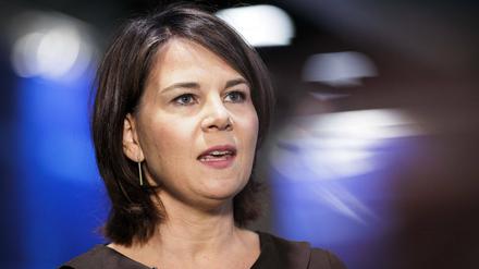 Das Auswärtige Amt unter Annalena Baerbock (Grüne) hat die Mittel für den DAAD gekürzt – mit Folgen für Tausende geplante Stipendien.
