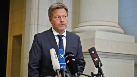 Robert Habeck, Grüne, Bundesminister für Wirtschaft und Energie, in einem Interview.