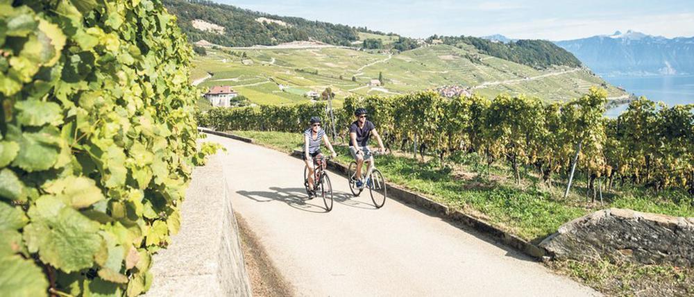 Erst Mühsal, dann Muße: Nach dem Rad ist vor dem Wein.