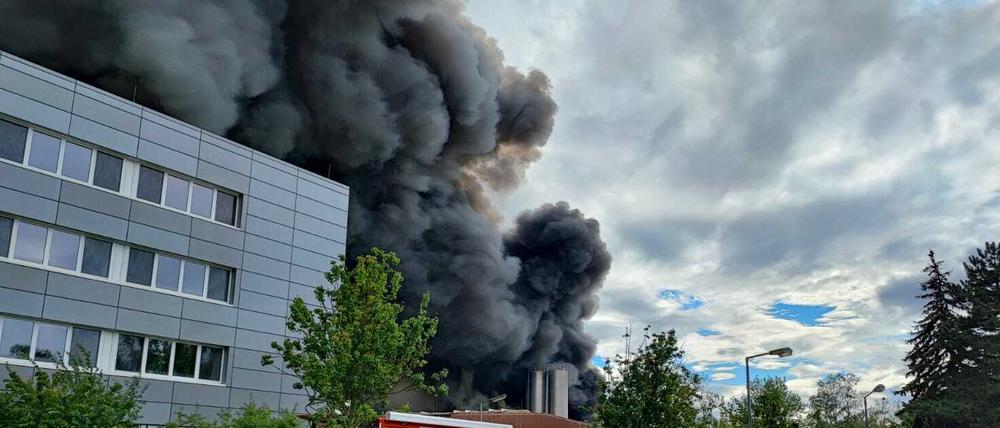 Großeinsatz: Eine gewaltige Rauchwolke stieg am Donnerstag über dem Werk des Verpackungsherstellers in Marienfelde auf.
