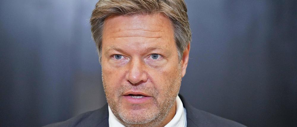 Wirtschaftsminister Robert Habeck will einen Zusammenbruch der Gasversorgung verhindern.