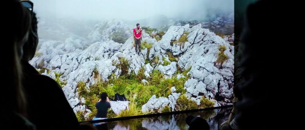 Hito Steyerls Werk „Animal Spirits“ auf der Documenta Fifteen.