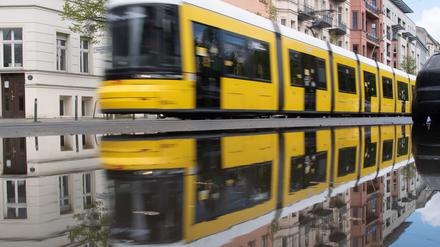 Schneller durch die Stadt - mit der Tram. Dafür sollen aber Bäume gefällt werden. 