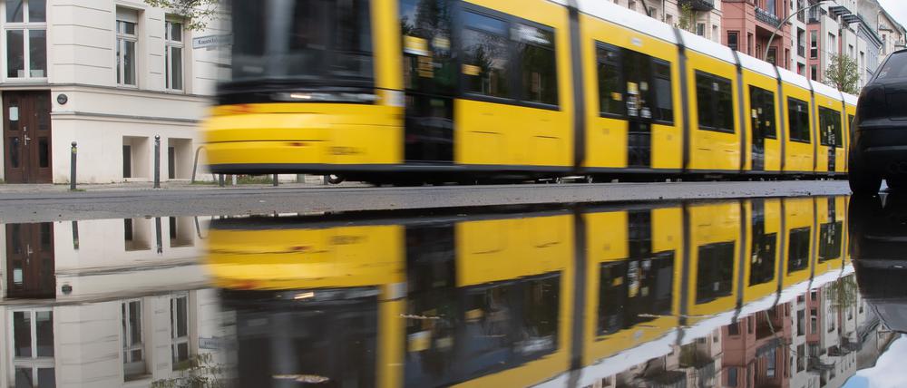 Schneller durch die Stadt - mit der Tram. Dafür sollen aber Bäume gefällt werden.