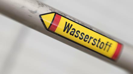 Mithilfe von Ökostrom kann aus Wasser Wasserstoff hergestellt werden - eine klimaneutraler Kraftstoff mit Zukunft?