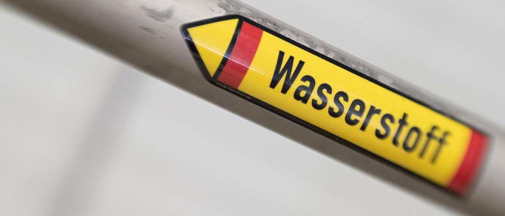 Mithilfe von Ökostrom kann aus Wasser Wasserstoff hergestellt werden - eine klimaneutraler Kraftstoff mit Zukunft?