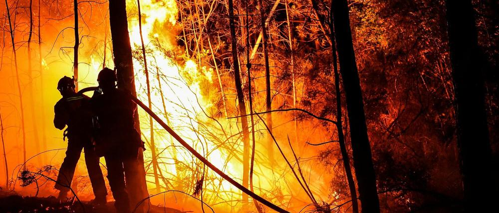 Frankreich, Bessèges am 7. Juli: Feuerwehrleute versuchen, einen Waldbrand zu löschen.