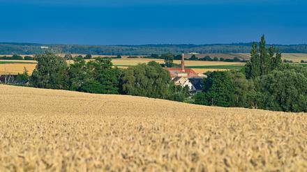 Trügerisches Idyll. Im Nationalpark Unteres Odertal im Landkreis Uckermark. 