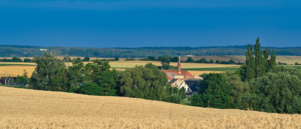 Idyll. Im Nationalpark Unteres Odertal im Landkreis Uckermark. 