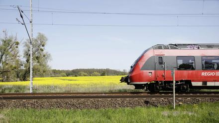 Eine Regionalbahn in Brandenburg