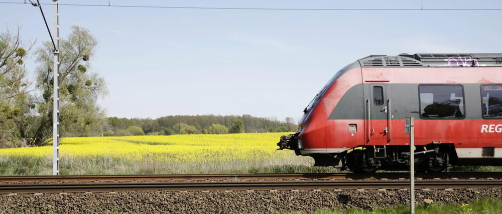 Eine Regionalbahn in Brandenburg