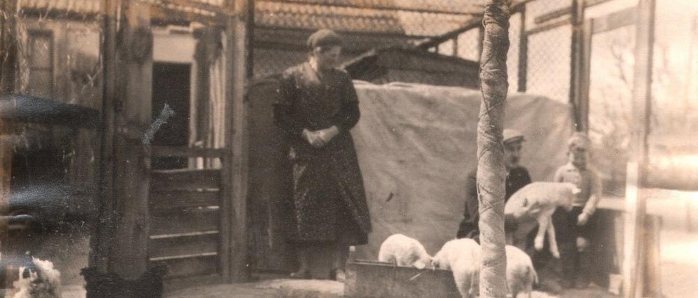 Die ursprünglichen Bewohner:innen hielten Hühner und Kaninchen auf den Grundstücken. 