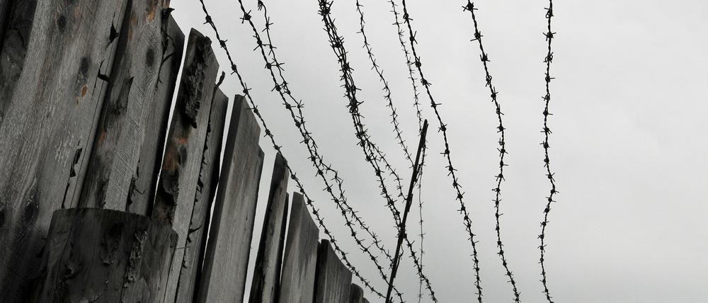 Holzbretterzaun und Stacheldraht am ehemaligen Straflager Perm 36 (Symbolbild)
