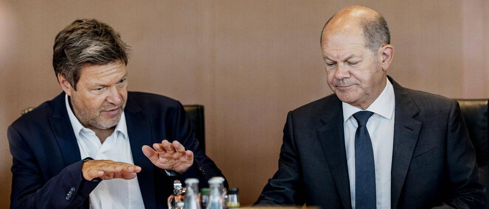 Ein Berg an Problemen: Vizekanzler Robert Habeck vertritt Kanzler Olaf Scholz während seines Urlaubs. 
