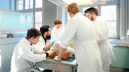 Wann und wie das Bundesgesundheitsministerium die Ärzteausbildung reformieren wird, ist teilweise unklar.