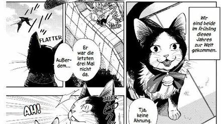Tierische Hauptfiguren: Eine Szene aus „Eine Geschichte von sieben Leben“.