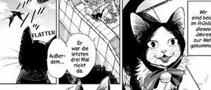 Tierische Hauptfiguren: Eine Szene aus „Eine Geschichte von sieben Leben“.