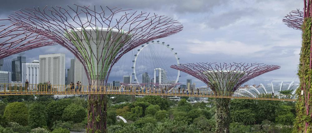 Die futuristischen Gardens by the Bay in Singapur haben einen kühlenden Effekt auf den Stadtstaat.