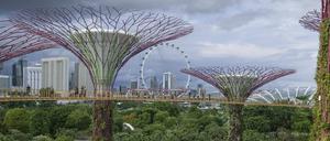Die futuristischen Gardens by the Bay in Singapur haben einen kühlenden Effekt auf den Stadtstaat.