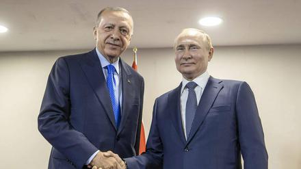 Recep Tayyip Erdogan und Wladimir Putin (v.l.).