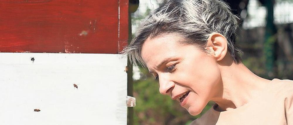 Insektenfreundin. Ana Prvački ist derzeit Artist in Residence im Berliner Gropius Bau. 