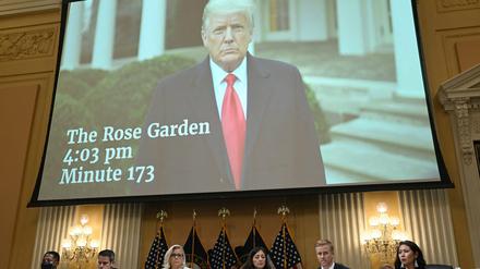 Im Ausschuss wurde das Video gezeigt, in dem sich Donald Trump zu Wort meldete.