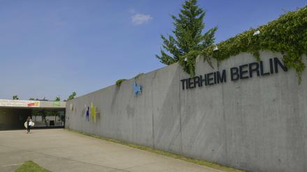 Das Tierheim in Berlin Lichtenberg. 
