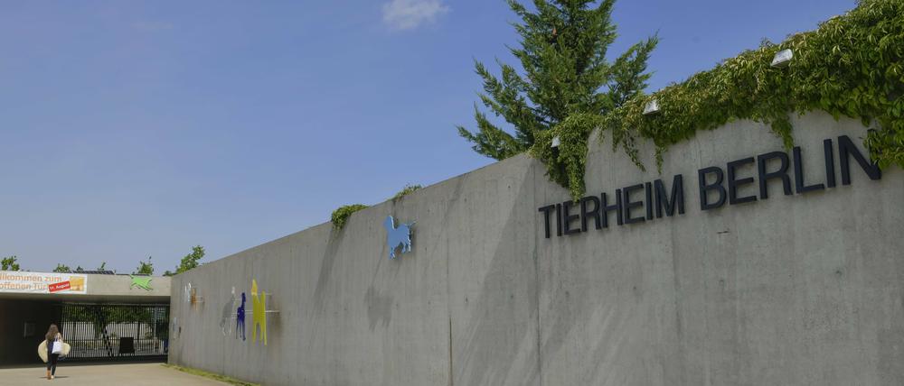 Das Tierheim in Berlin Lichtenberg.