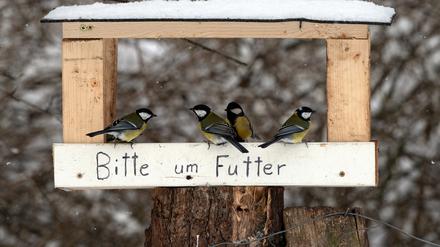 Mahlzeit