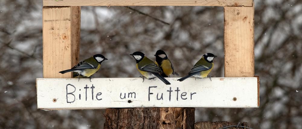 Mahlzeit