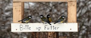 Mahlzeit