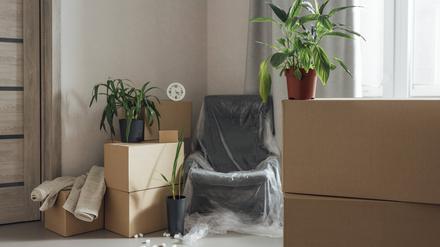 Neugier verboten. Nicht alle Zimmer sind gleich nach dem Umzug präsentabel.