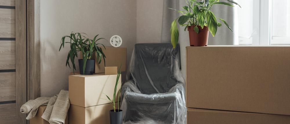 Neugier verboten. Nicht alle Zimmer sind gleich nach dem Umzug präsentabel.