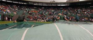 Wimbledon