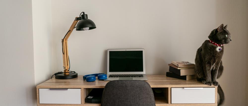 Sieht friedlich aus, aber wehe, es geht etwas schief. Dann sind Arbeitnehmer kaum geschützt.