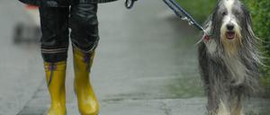 Regen