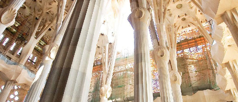 Gaudi