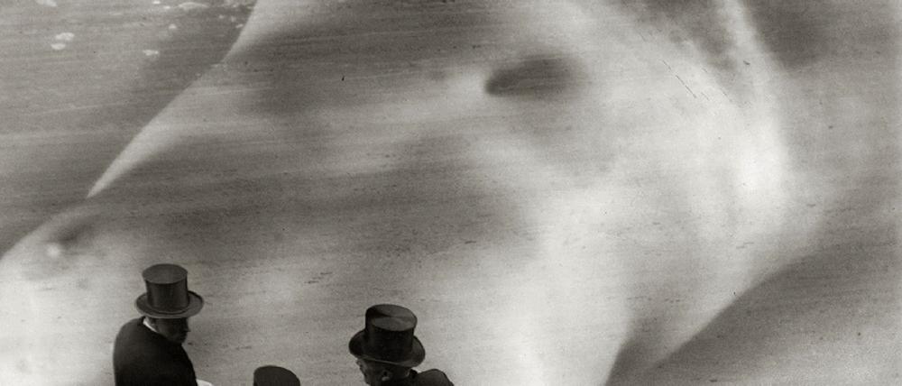 191154_0_83485844