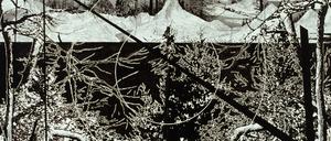 223631_0_9cd8e1f8