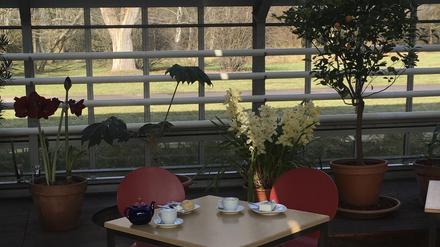 Das Café Mint im Tropenhaus des Botanischen Volksparks Blankenfelde.