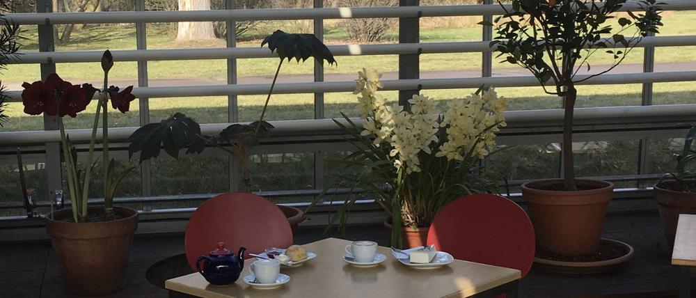 Das Café Mint im Tropenhaus des Botanischen Volksparks Blankenfelde.