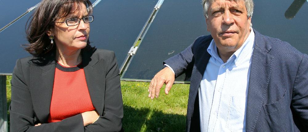 Scheer
