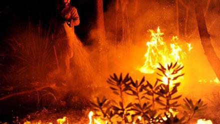 Waldbrand Kalifornien