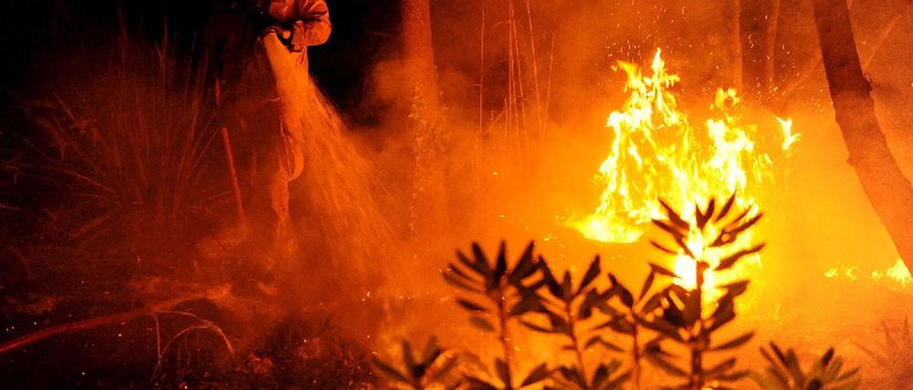 Waldbrand Kalifornien