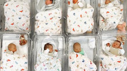 Babys Neugeborene