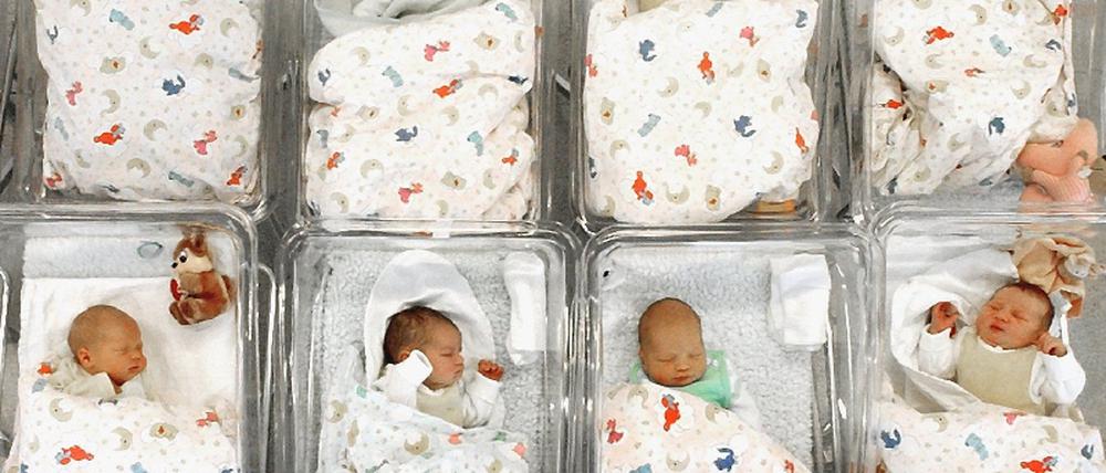 Babys Neugeborene